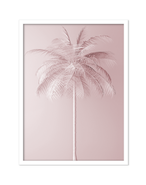 Pink Palm