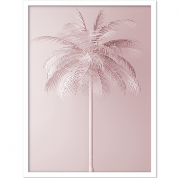 Pink Palm