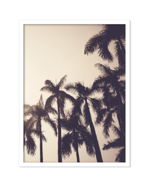 PALMTREES