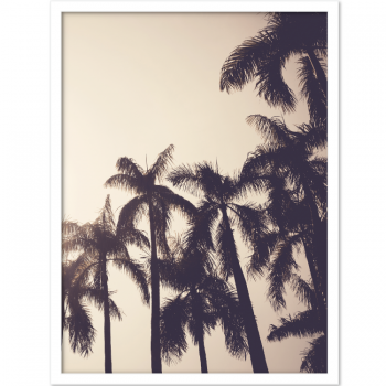 PALMTREES