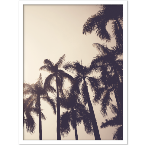 PALMTREES
