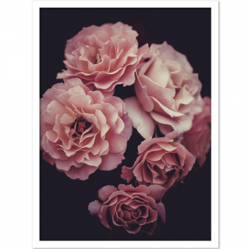 ROMANCE