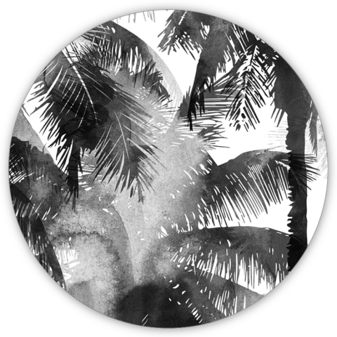 PALMS