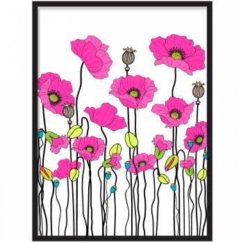 Poppies