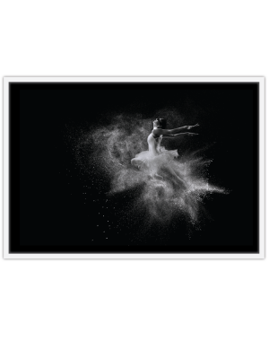 Ballet Dancer