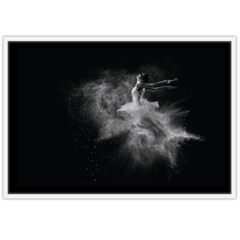 Ballet Dancer
