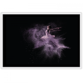 Ballet Dancer