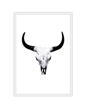 Bull Skull
