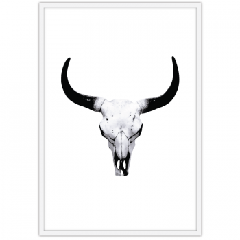 Bull Skull