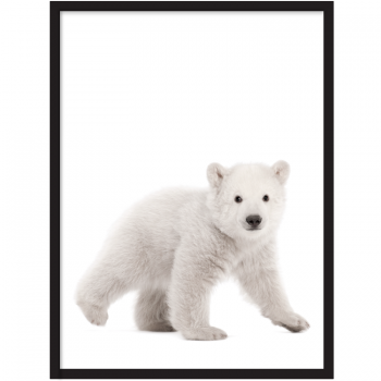 BABY ANIMALS BABY ANIMALS