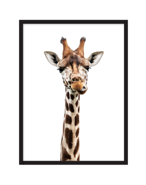 BABY ANIMALS BABY ANIMALS