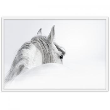 White Whisper