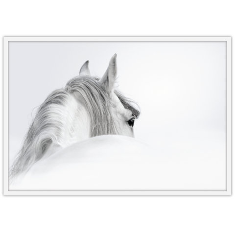White Whisper
