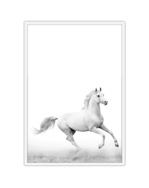 White Horse