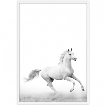 White Horse