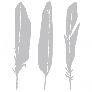 Feathers