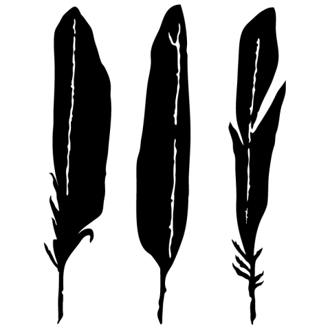 Feathers
