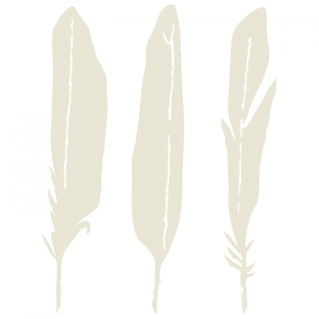 Feathers