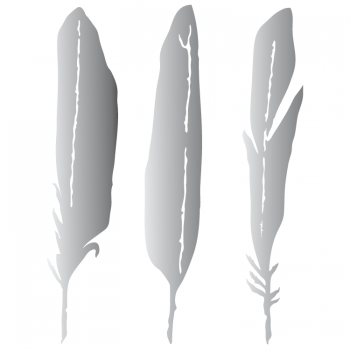 Feathers