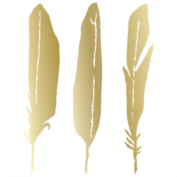 Feathers