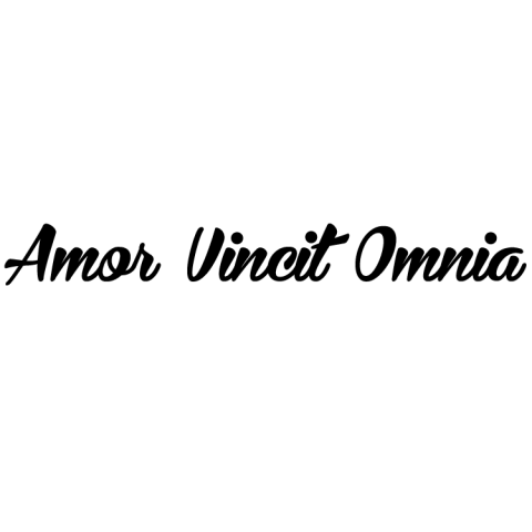 Väggtext Amor Vincit Omnia