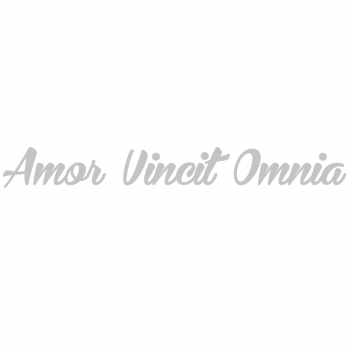 Väggtext Amor Vincit Omnia