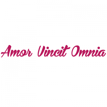 Väggtext Amor Vincit Omnia