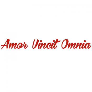 Väggtext Amor Vincit Omnia
