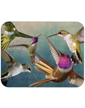 musmatta Hummingbirds
