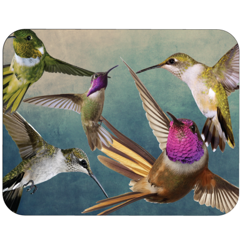 musmatta Hummingbirds